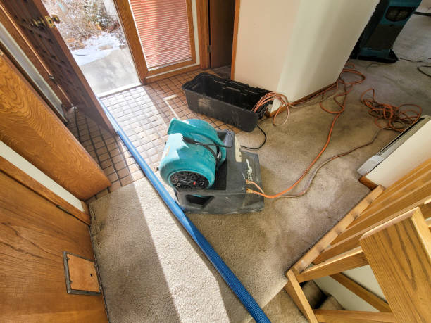 Best Water damage restoration near me  in Spring Ridge, MD