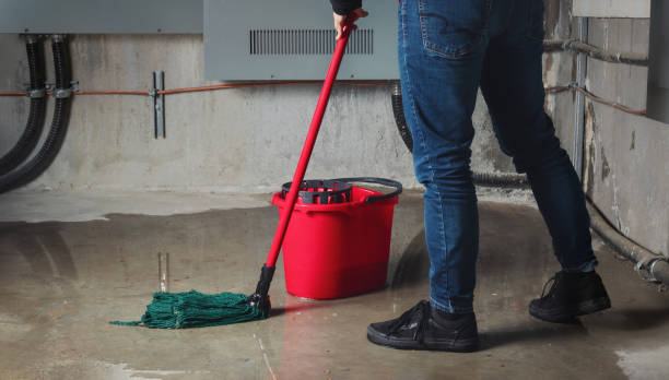 Best 24-hour water damage restoration  in Spring Ridge, MD