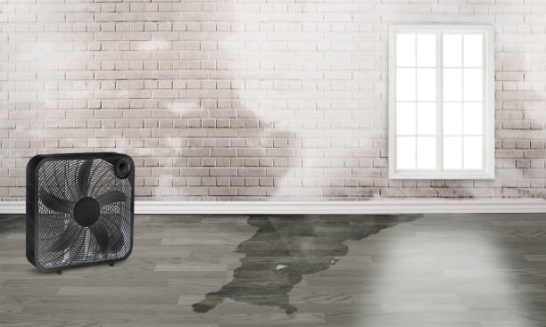 Best Ceiling water damage repair  in Spring Ridge, MD
