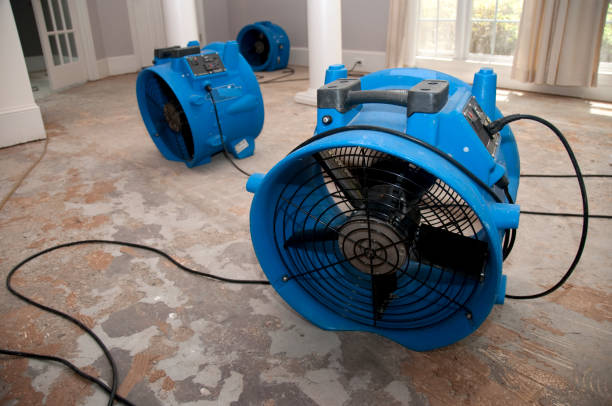 Best Water damage contractors near me  in Spring Ridge, MD